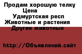 Продам хорошую телку › Цена ­ 45 000 - Удмуртская респ. Животные и растения » Другие животные   